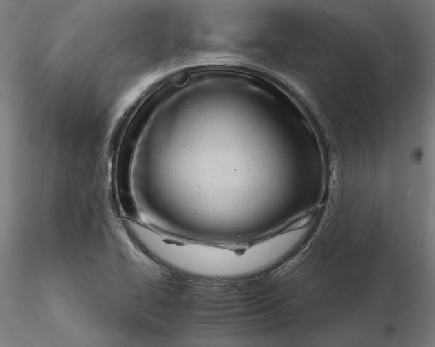 X0000116261414200912291447