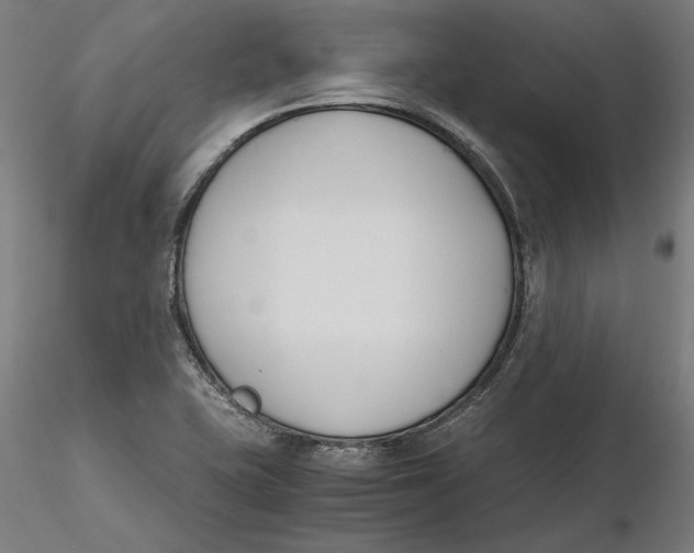 X0000116261415200912291447