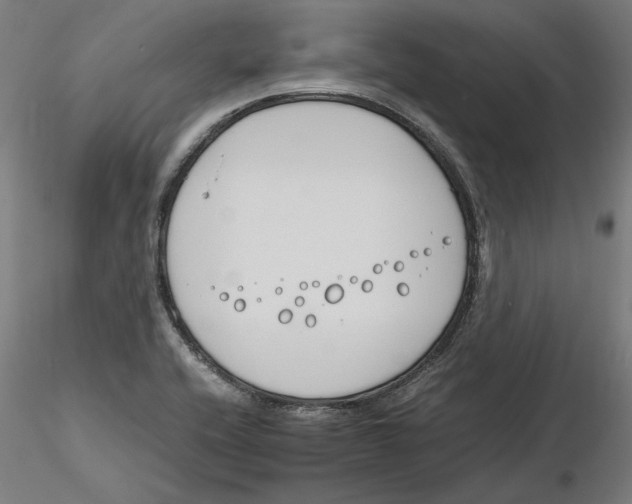 X0000116261416200912291447