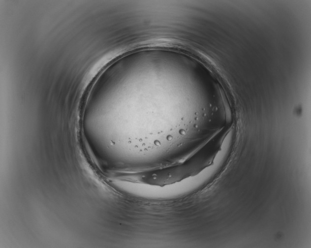 X0000116261418200912291447