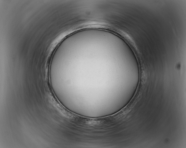 X0000116261419200912291447