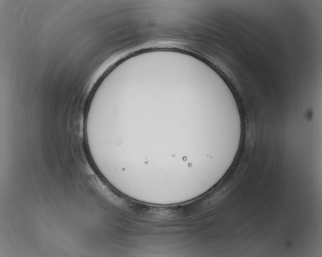 X0000116261420200912291447