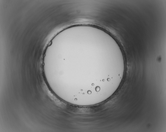 X0000116261421200912291447