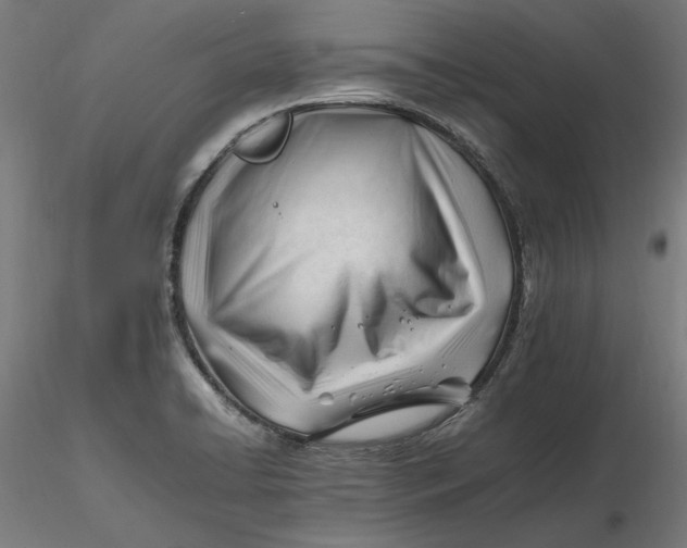 X0000116261422200912291447