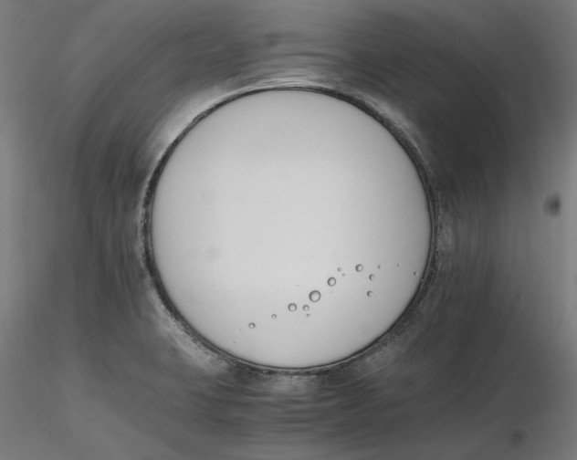 X0000116261423200912291447