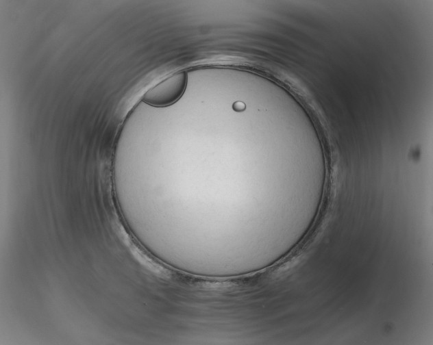 X0000116261425200912291447