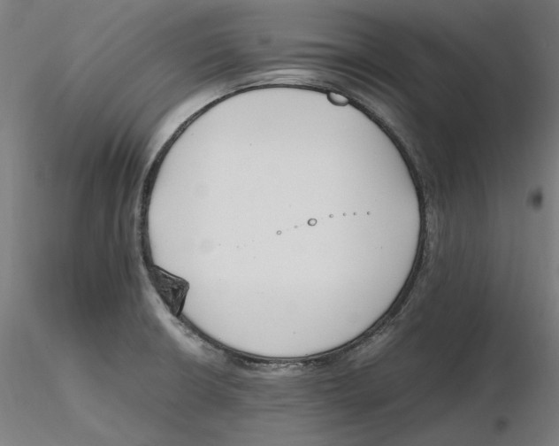 X0000116261426200912291447