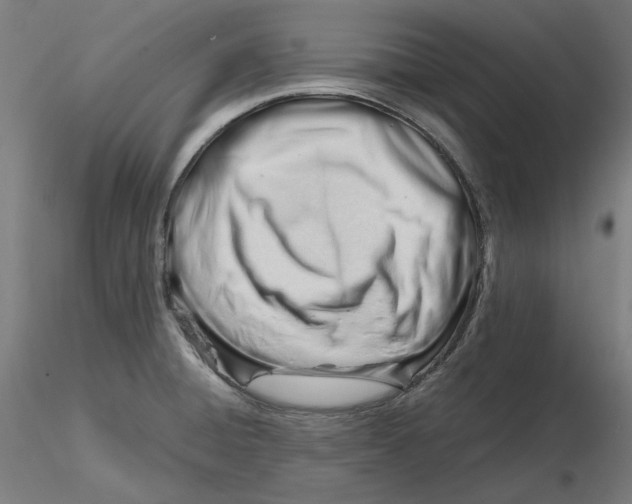 X0000116261428200912291447