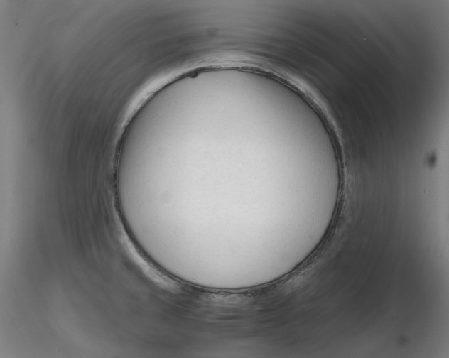 X0000116261429200912291447