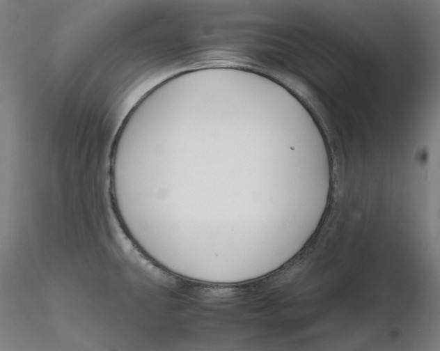 X0000116261431200912291447