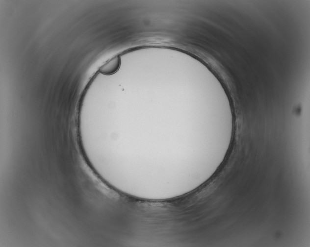 X0000116261432200912291447