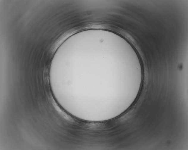 X0000116261433200912291447