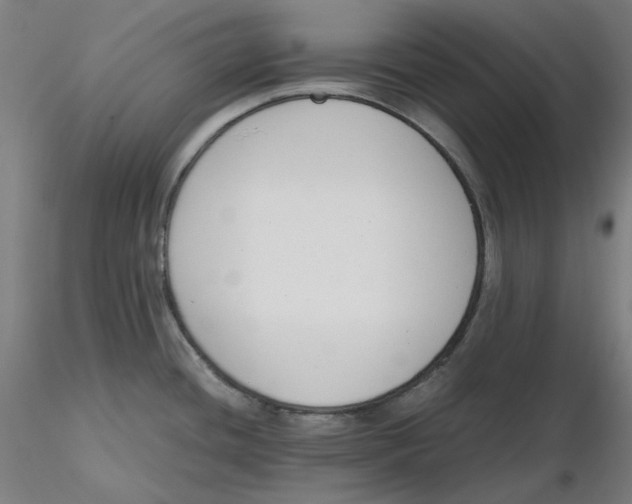 X0000116261436200912291447