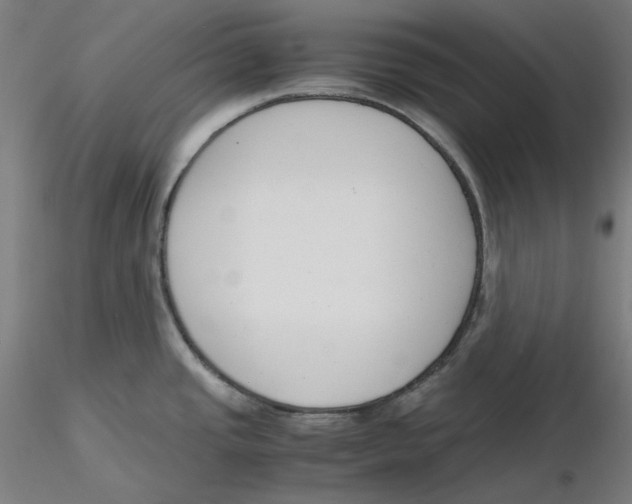 X0000116261437200912291447