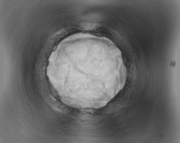 X0000116261441200912291446