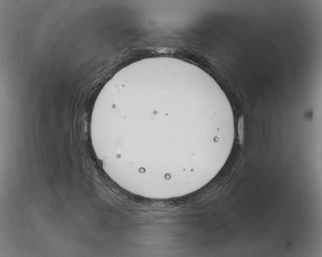 X0000116261443200912291446