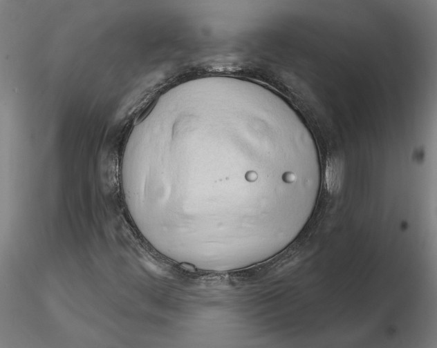 X0000116261444200912291446