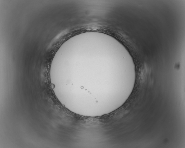 X0000116261446200912291446