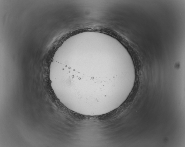 X0000116261447200912291446