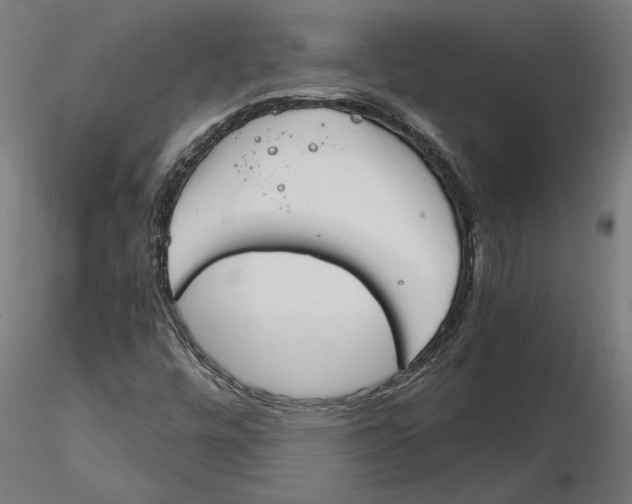 X0000116261448200912291446