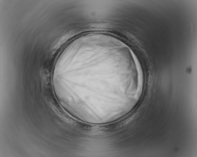 X0000116261449200912291446