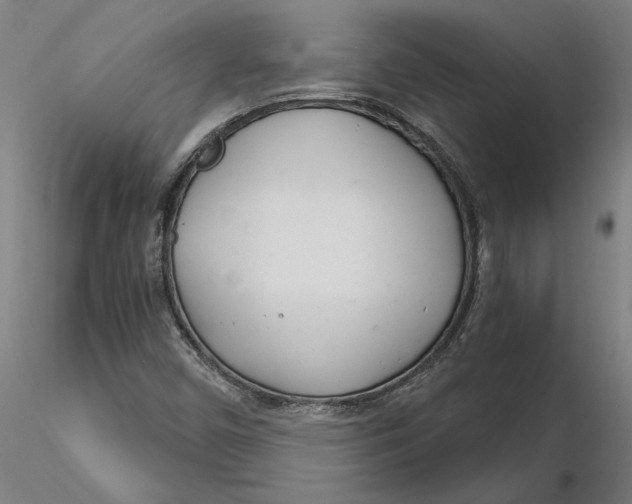 X0000116261450200912291446