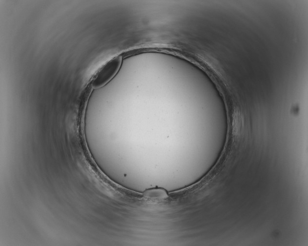 X0000116261452200912291446