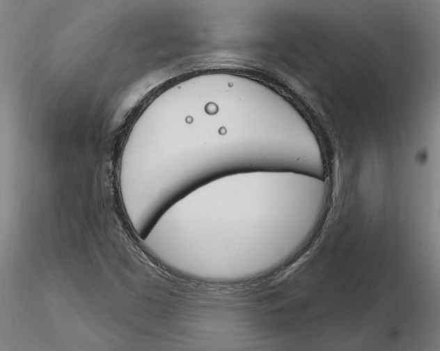 X0000116261453200912291446