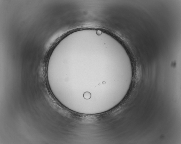 X0000116261454200912291446
