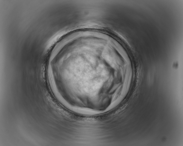 X0000116261455200912291446