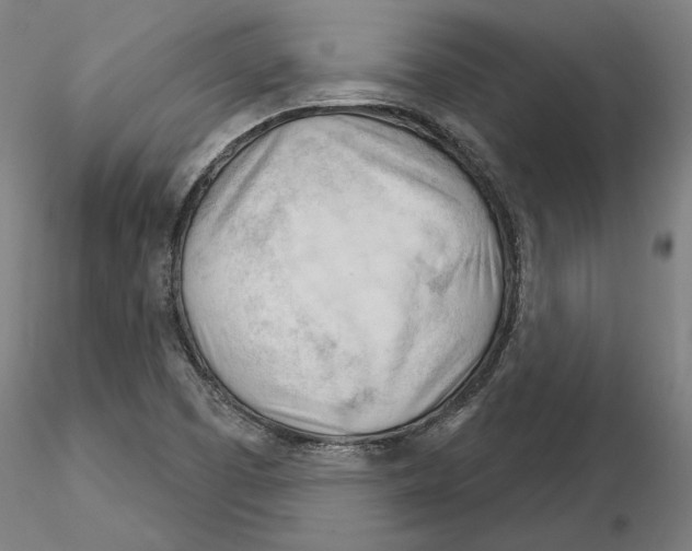 X0000116261457200912291446