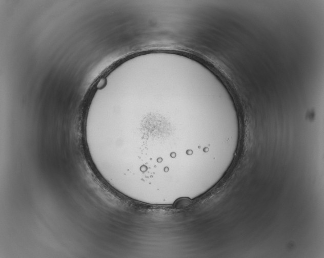 X0000116261458200912291446