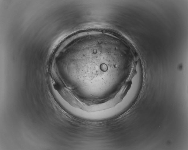 X0000116261459200912291446