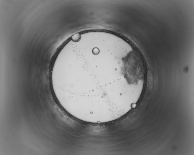 X0000116261460200912291446