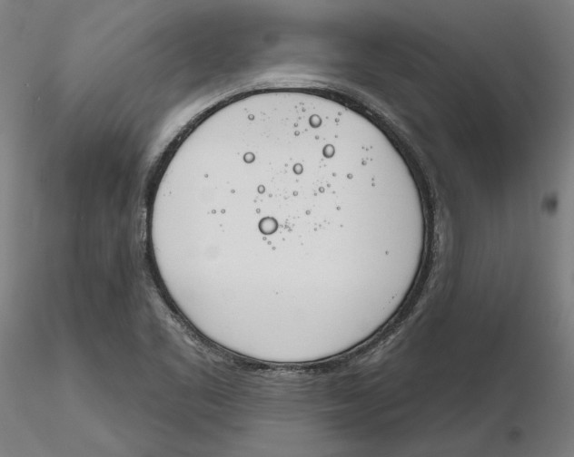 X0000116261461200912291446