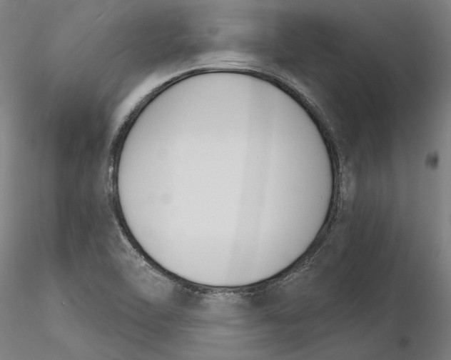 X0000116261462200912291446