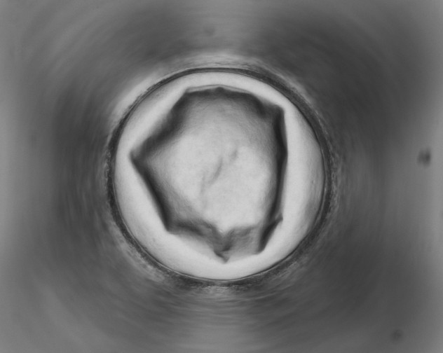 X0000116261463200912291446
