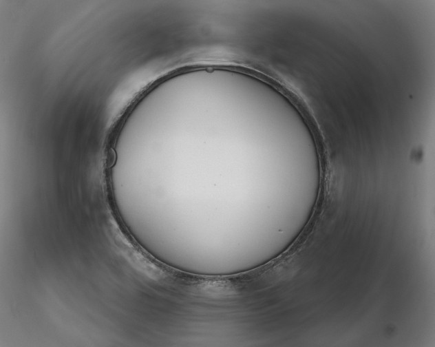 X0000116261464200912291446