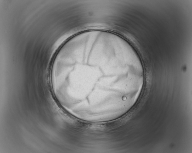 X0000116261466200912291446