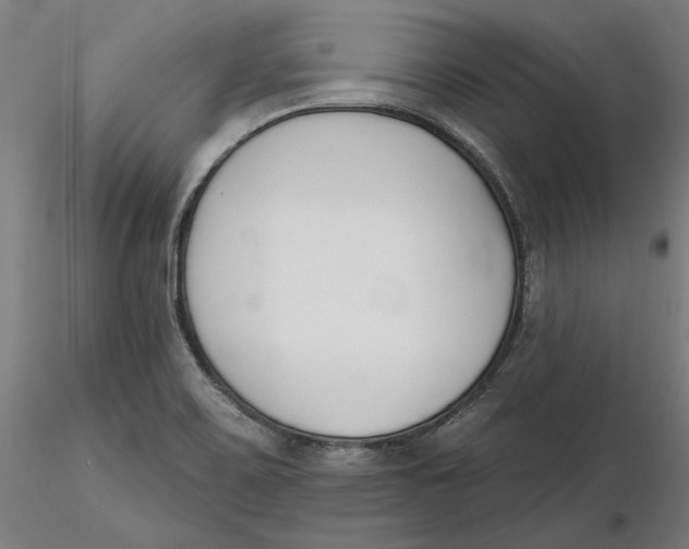 X0000116261467200912291446