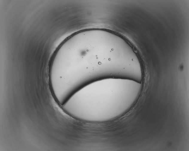 X0000116261468200912291446
