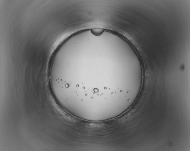 X0000116261469200912291446