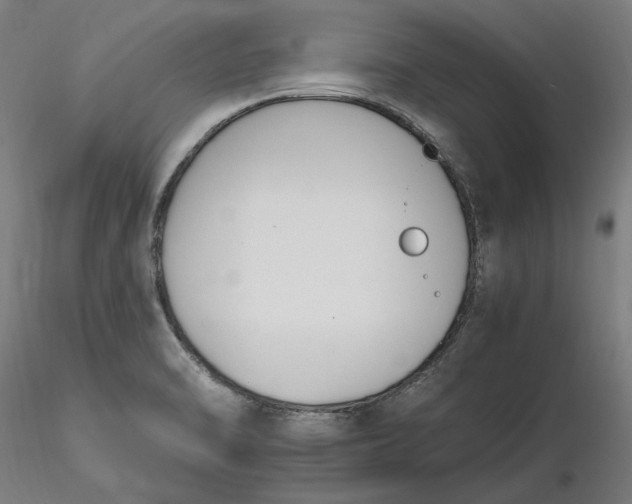X0000116261470200912291446