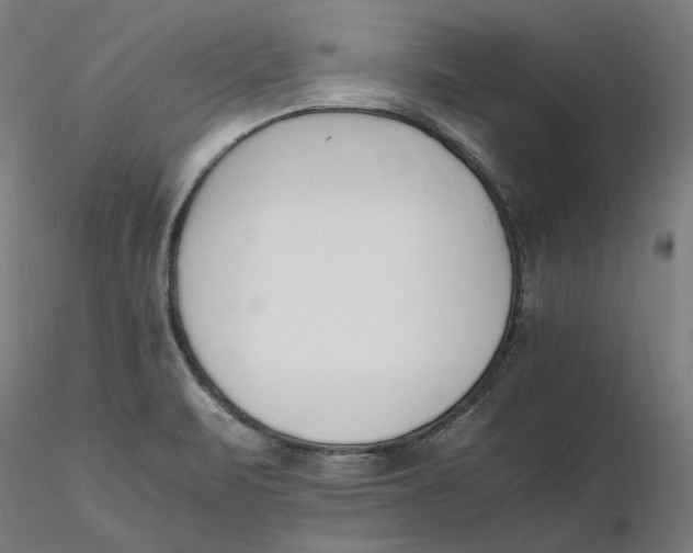 X0000116261471200912291446