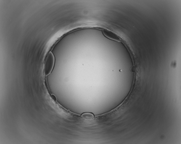 X0000116261472200912291446