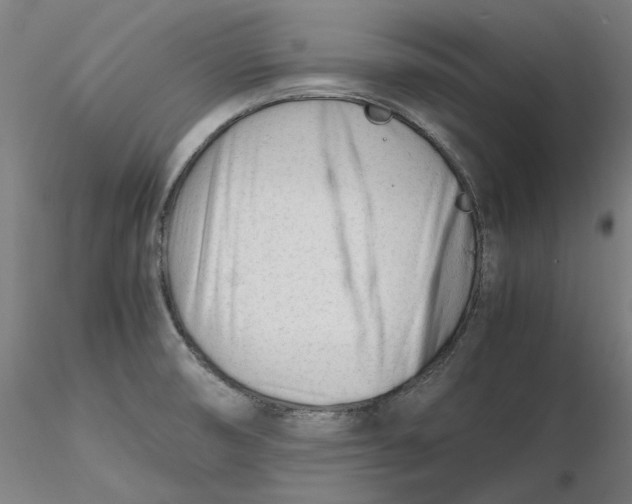 X0000116261474200912291446