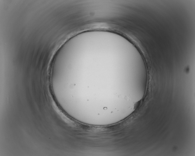 X0000116261475200912291446