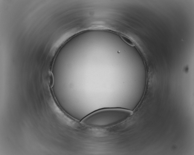 X0000116261476200912291446