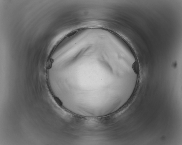 X0000116261477200912291446