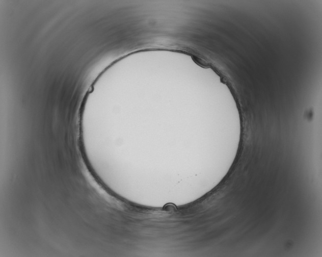 X0000116261479200912291446